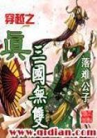 《穿越之真三國無雙》